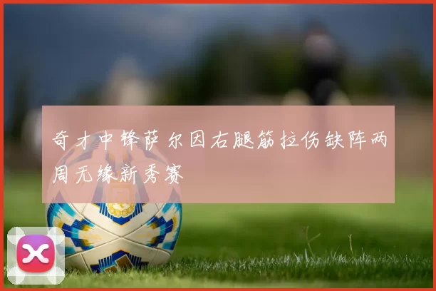 奇才中锋萨尔因右腿筋拉伤缺阵两周无缘新秀赛